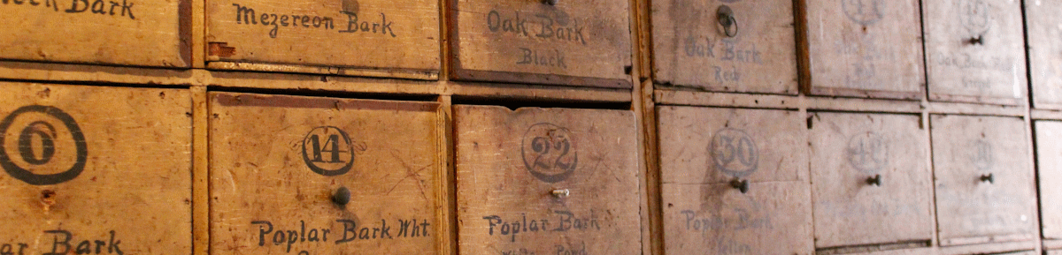 Photo by Lisa Hobbs on Unsplash